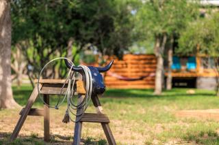 Winecup Waterfront Cottage - Tivydale - 6