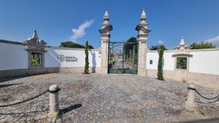Quinta exclusiva - Ponte de Lima - Ponte de Lima - 9