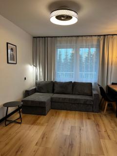 Warmia Dream Apartament - Olsztyn - 3