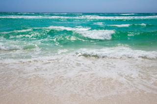 109 Island Cove Ct - Blue Palm Cove - 9