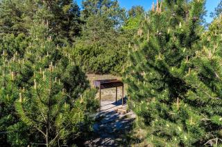 Nida Vėtrungių 3 , apartamentai - 1