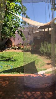 Fluture - Larache - 1