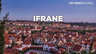 Lion D'ifrane - 0