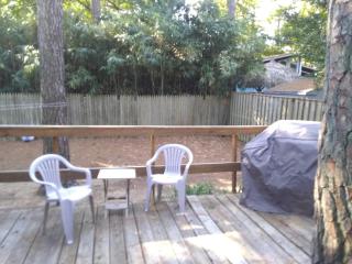 Carolina street 204 - Dewey Beach - 2