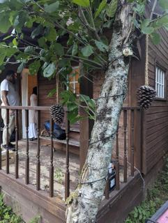 Willow lodge - Moffat - 1