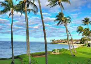 KP85-Ground Floor-AC-Beach-Garden-Gym-Pool - Koloa - 7
