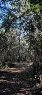 Hospedaje Los Buenos Aires - 4