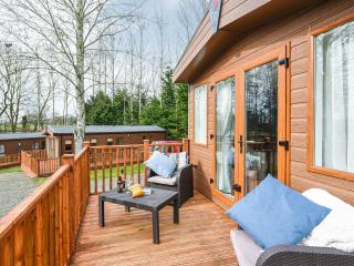 Avon Lodge - Hyssington - 7