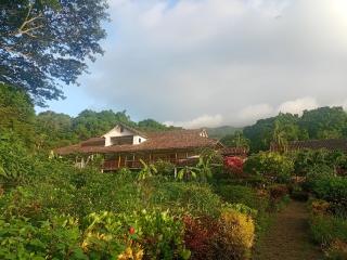 Eco lodge finca magdalena - 0