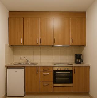 RICHARD house - New Port Richey - 6