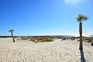 Ocean Reef - Gulf Shores - 1