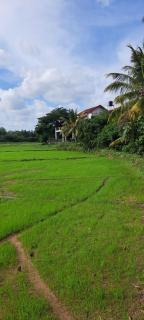 Honey Dew Villa Minuwangoda - - 1