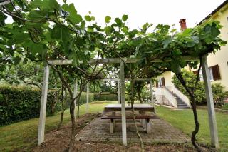 Apartments with parking space Porec - 16495 - 4