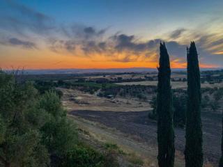 Hidden Acre Vineyard - Paso Robles - 4