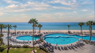 Sonoran Sea - Puerto Peñasco - 7