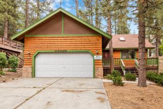 Pines and needles #1454 - Big Bear Lake - 1