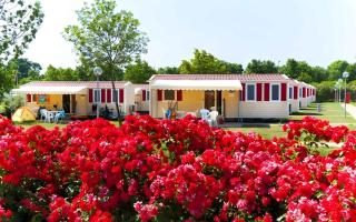 Mobilehomes in Sirmione - Gardasee 22177 - 0