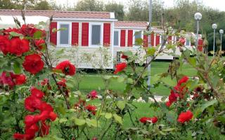 Mobilehomes in Sirmione - Gardasee 22177 - 6