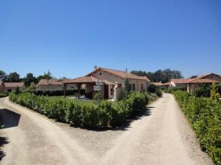 Villa in France with Garden & Barbecue - Les Forges - 2