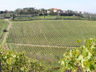 Apartments in Cerreto Guidi - Toskana 23873 - Cerreto Guidi - 4