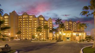 Sonoran Sea - Puerto Peñasco - 8