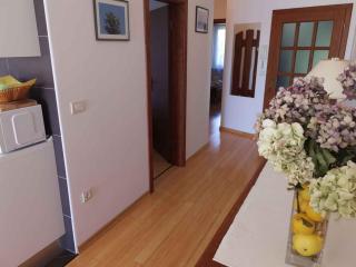 Apartment in Selce 27284 - Selce - 2