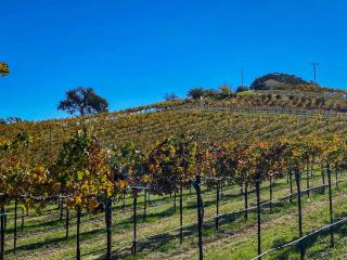 Hidden Acre - Bird House - Paso Robles - 1