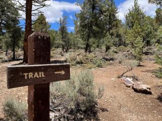 Lazy bear lodge #1235 - Big Bear Lake - 7