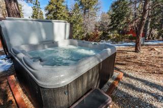 Mountain modern #1743 - Big Bear Lake - 8