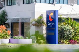Comfort Inn Grafton - Grafton - 8