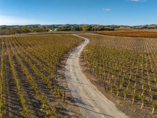 Mission Vineyard - Paso Robles - 4