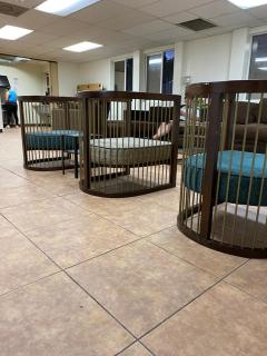 Van Nuys Vibe -  - 3