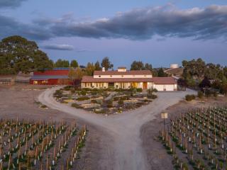 Mission Vineyard - Paso Robles - 3
