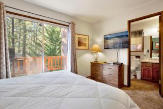 Cedar pines #1529 - 6