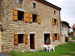 Maison de charme avec poêle à bois, 3 chambres, salle de jeux, jardin clos et équipements modernes. - FR-1-496-259 - Saint-Nizier-de-Fornas - 0