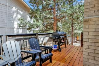 Bruin chalet #2464 - 1