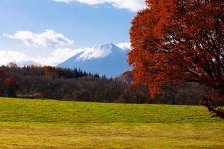 MOBILITA COURT IWATE - 9