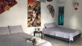 Akoya Meraki Casa Hotel - - 9