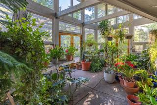 Birders, botanist and hikers’ oasis in FLG - Flagstaff - 8