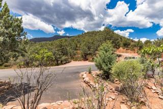 Glass House Elk Rim Pine - 1