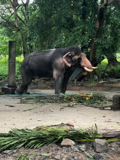 Airavatham Apartments - 9