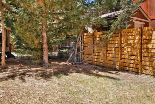 Brown bears cabin #1091 - 6