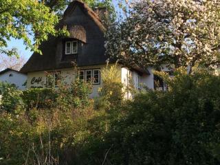 Holiday home in Kappeln with swimming pool - Kappeln - 9