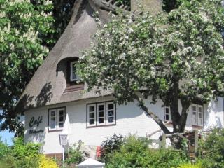 Holiday home in Kappeln with swimming pool - Kappeln - 0