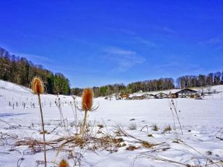Kampenwand view - Aschau - 9
