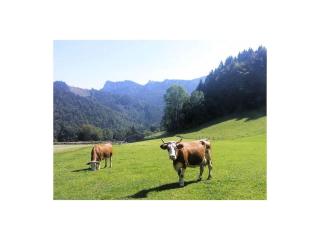 Kampenwand view - Aschau - 1