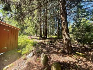 Peaceful Cabin near Furufjall Trail - 5