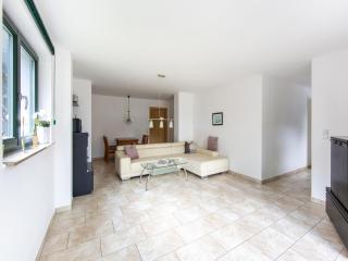 Apartment in Eisfeld with Garden Views, cleaning included - Eisfeld - 1