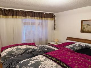 Charming apartment in the Harz Mountains - Thale - 3