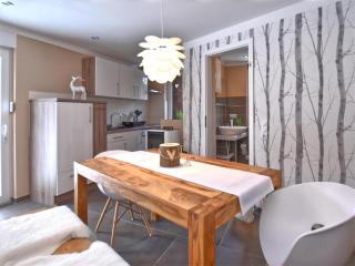Holiday Home in Harz near Ski Slopes, cleaning included - Friedrichshöhe - 8